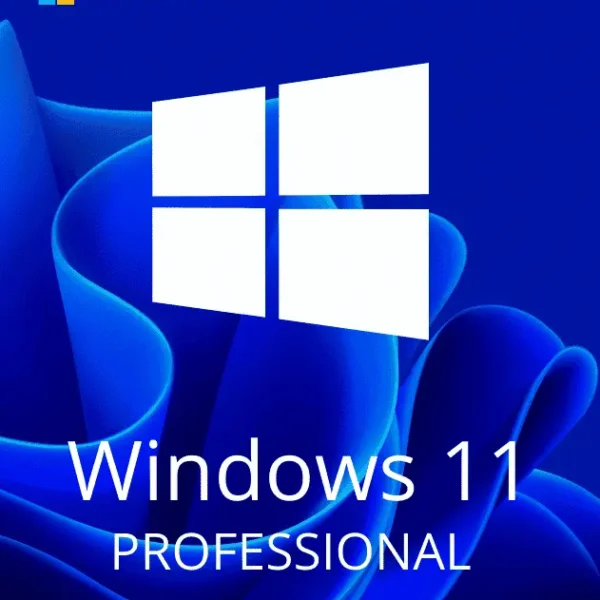 WINDOWS 11 PROFESSIONAL