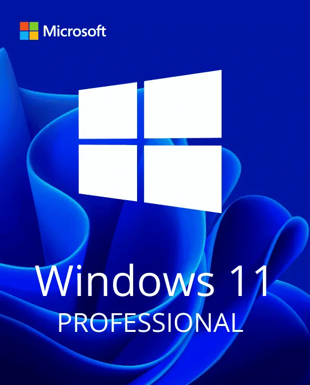 WINDOWS 11 PROFESSIONAL